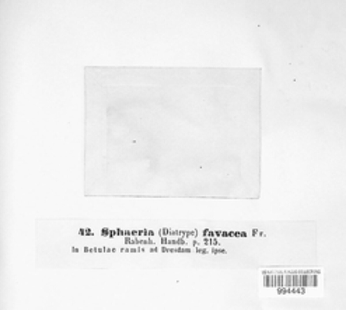 Diatrypella favacea image